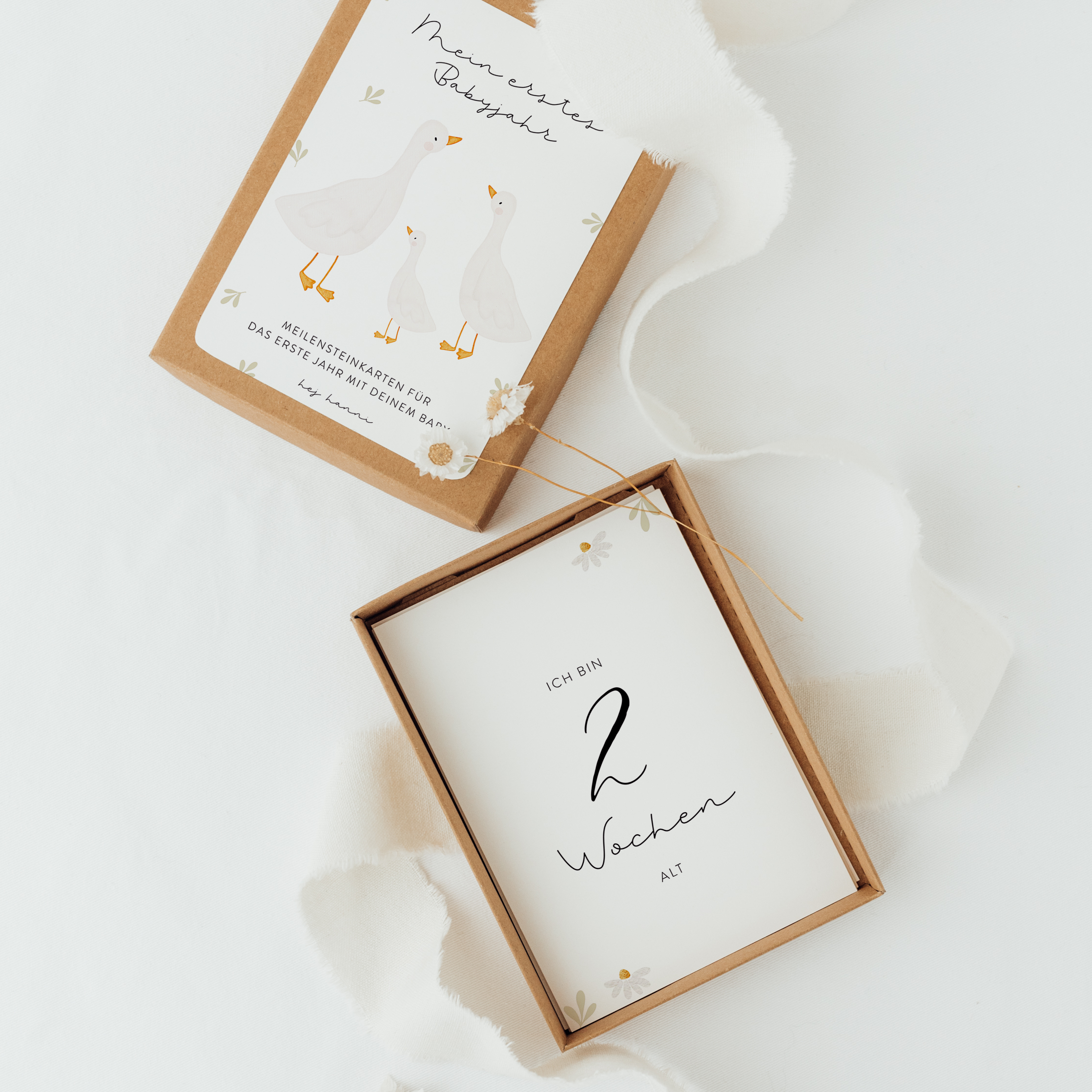 Hej Hanni Meilensteinkarten Baby