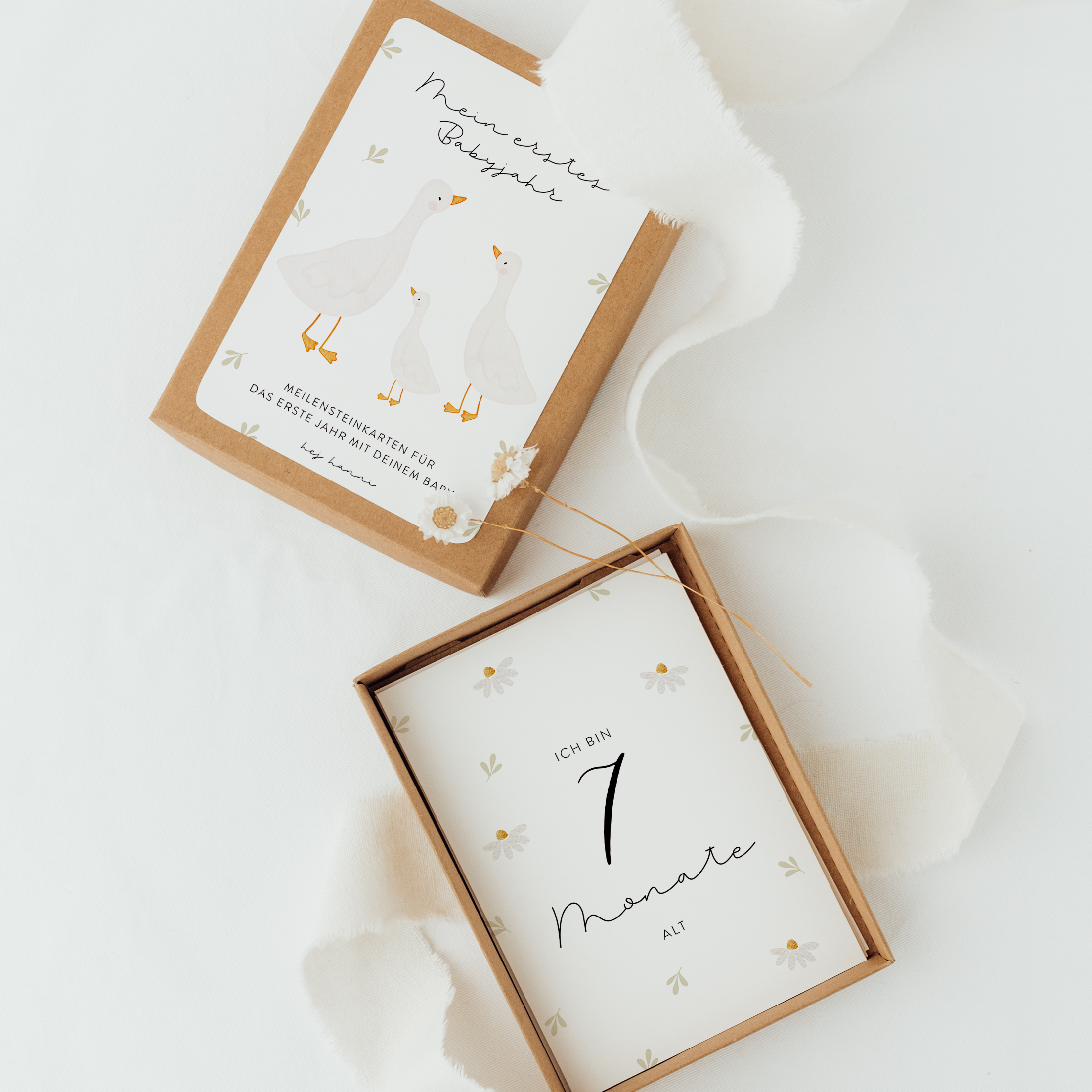 Hej Hanni Meilensteinkarten Baby
