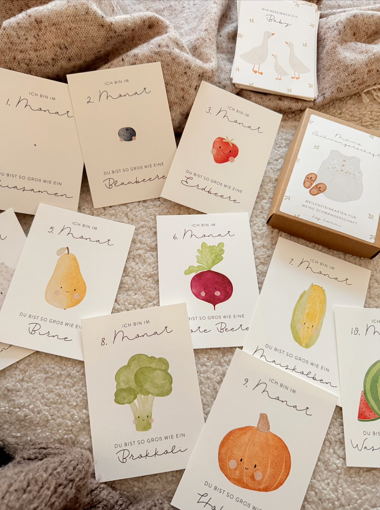 Hej Hanni Meilensteinkarten Schwangerschaft