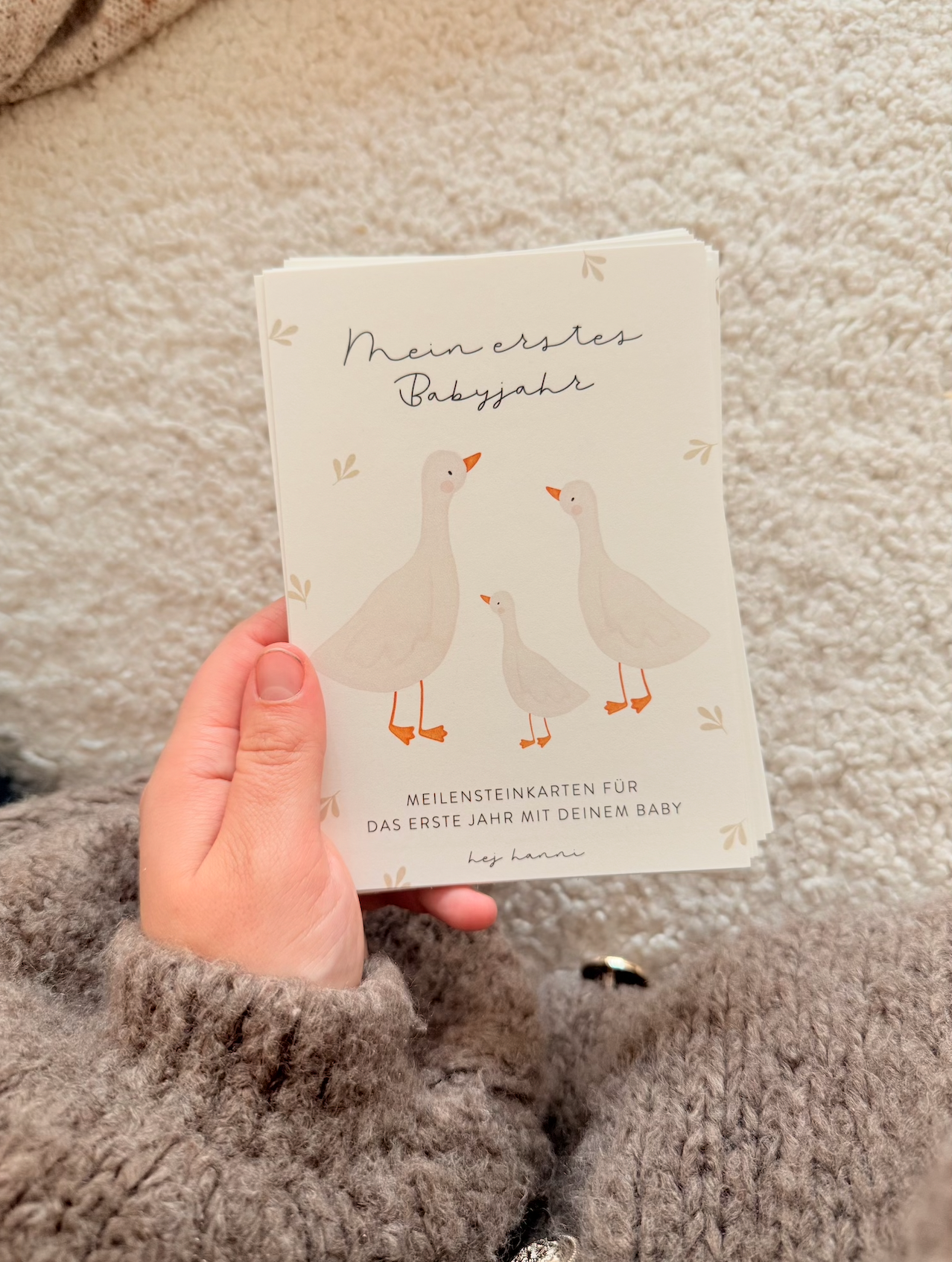 Hej Hanni Meilensteinkarten Baby