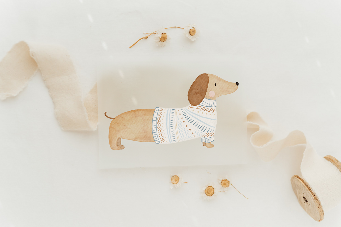 Hej Hanni Bügelbild Dackel Strickpulli