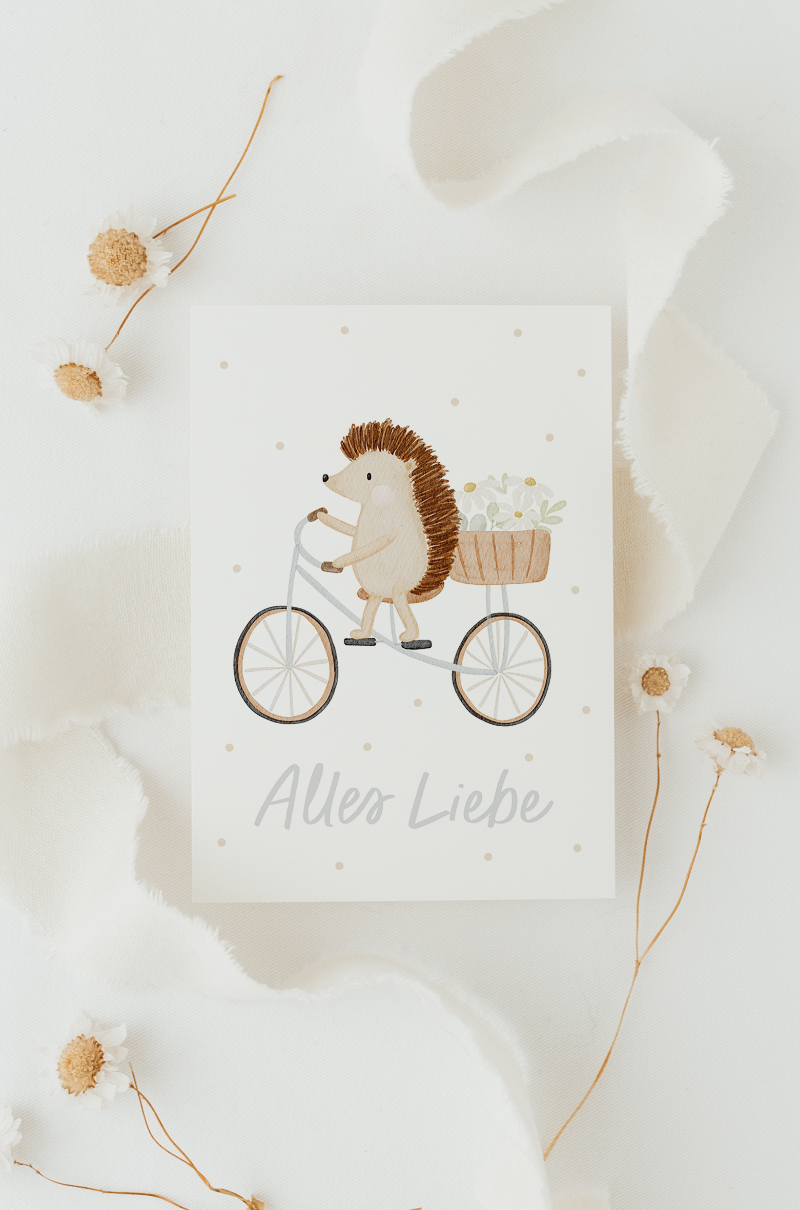 Hej Hanni Postkarte Igel Fahrrad