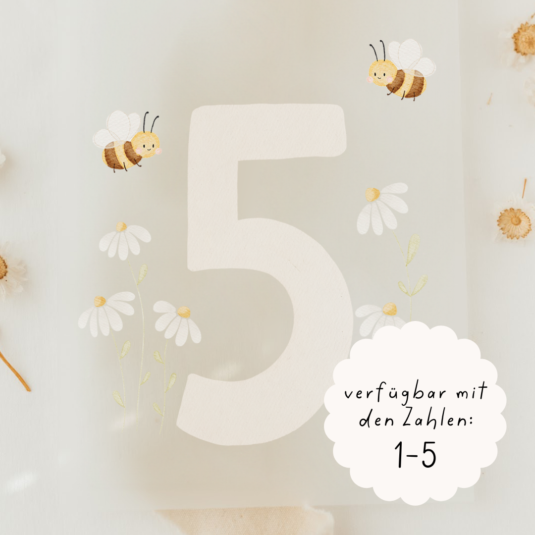 Hej Hanni Bügelbild Geburtstag Zahl Blume
