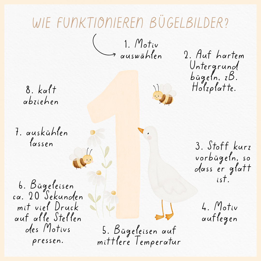 Hej Hanni Bügelbild Geburtstag Zahl Gans
