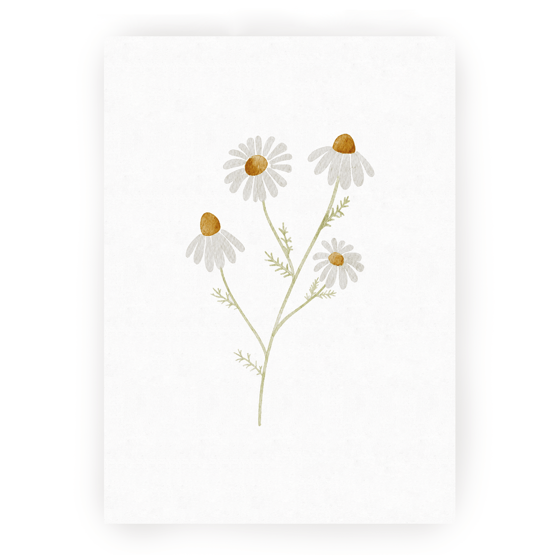 Hej Hanni Postkarte Kamille