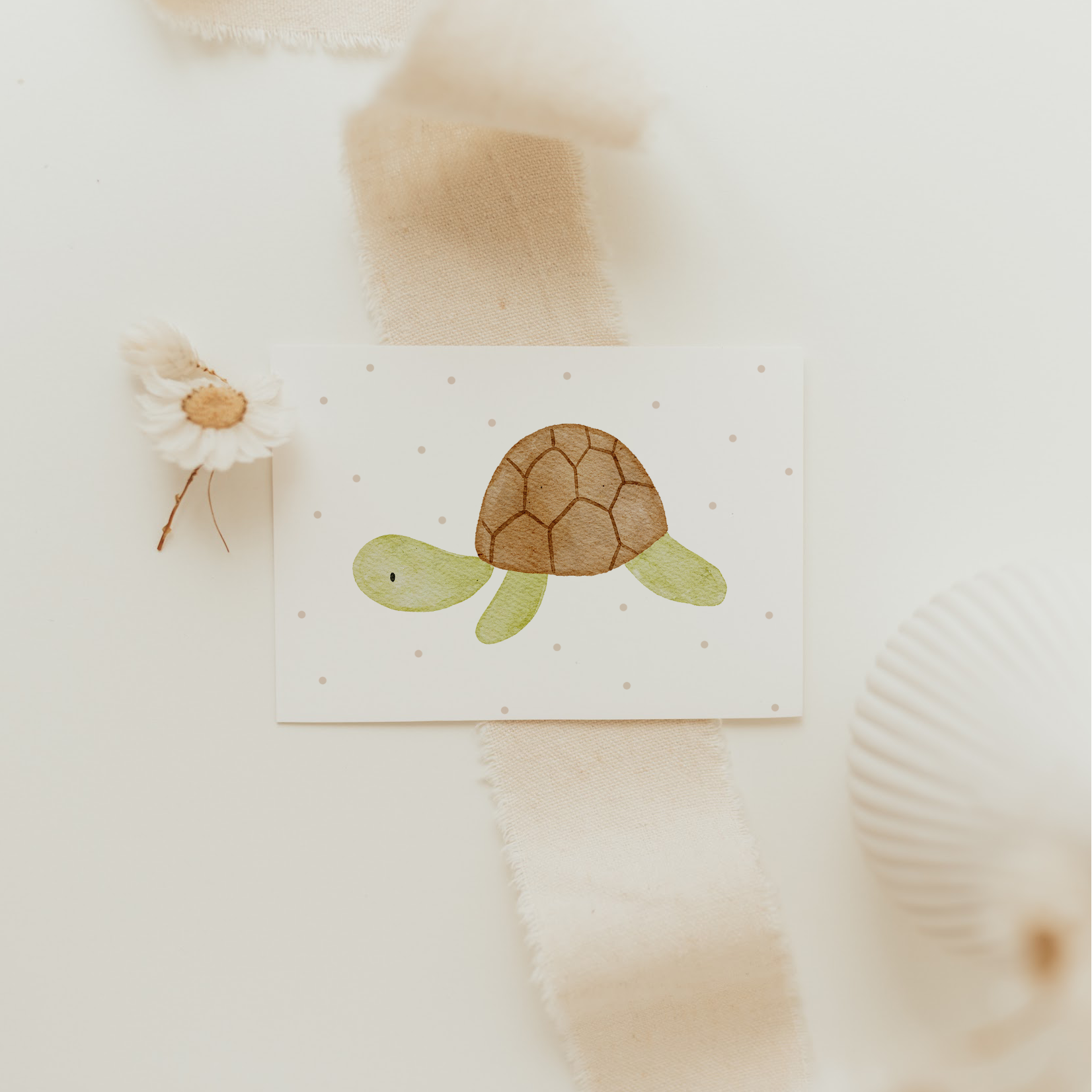 Hej Hanni Minikarte Schildkröte A7