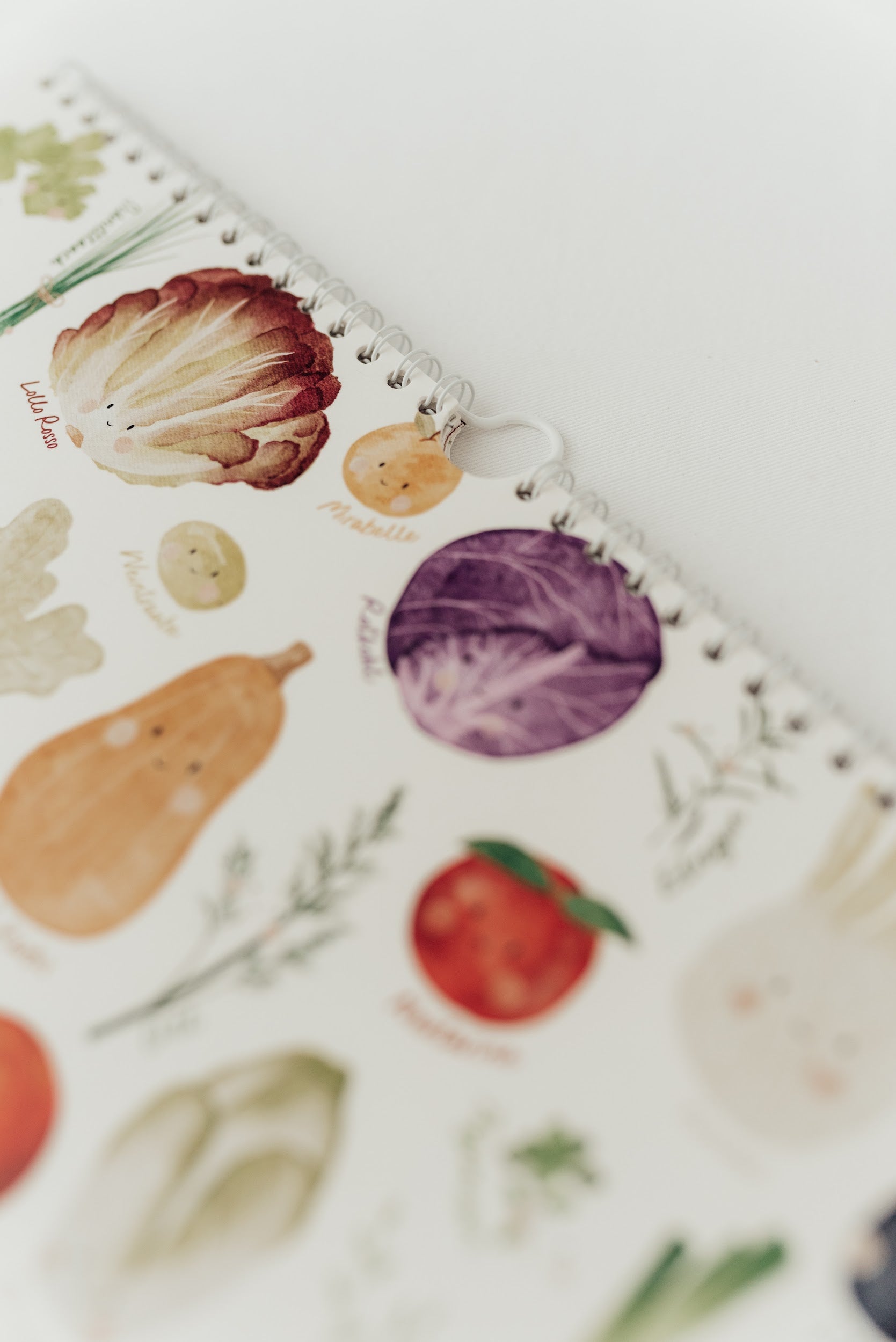 Hej Hanni Saisonkalender für Kinder A3 immerwährend