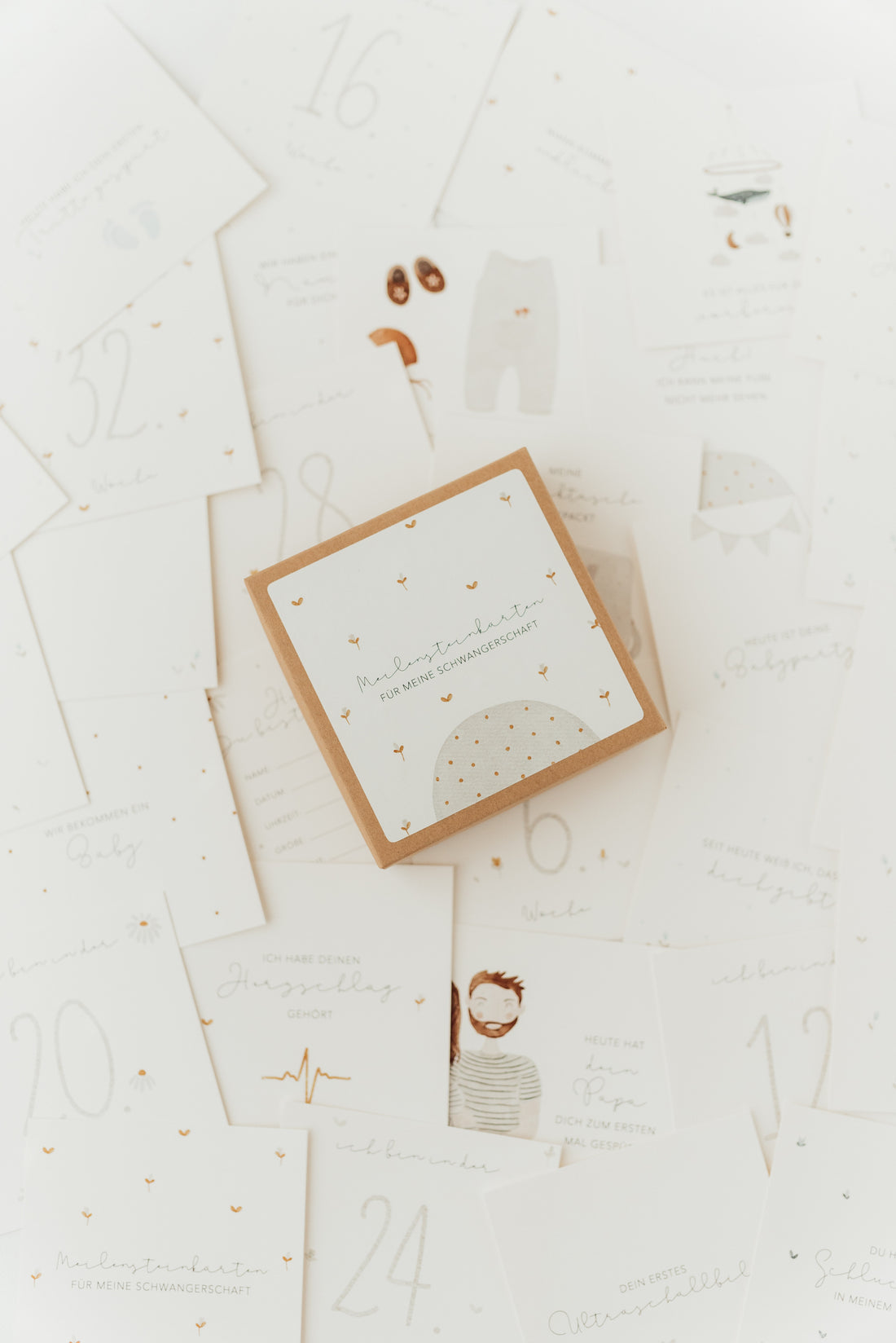 Hej Hanni Meilensteinkarten Schwangerschaft alt