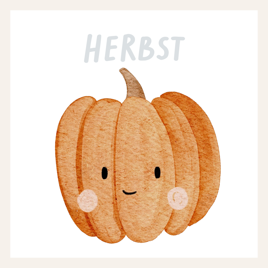 Hej Hanni Wundertüte Herbst &amp; Weihnachten