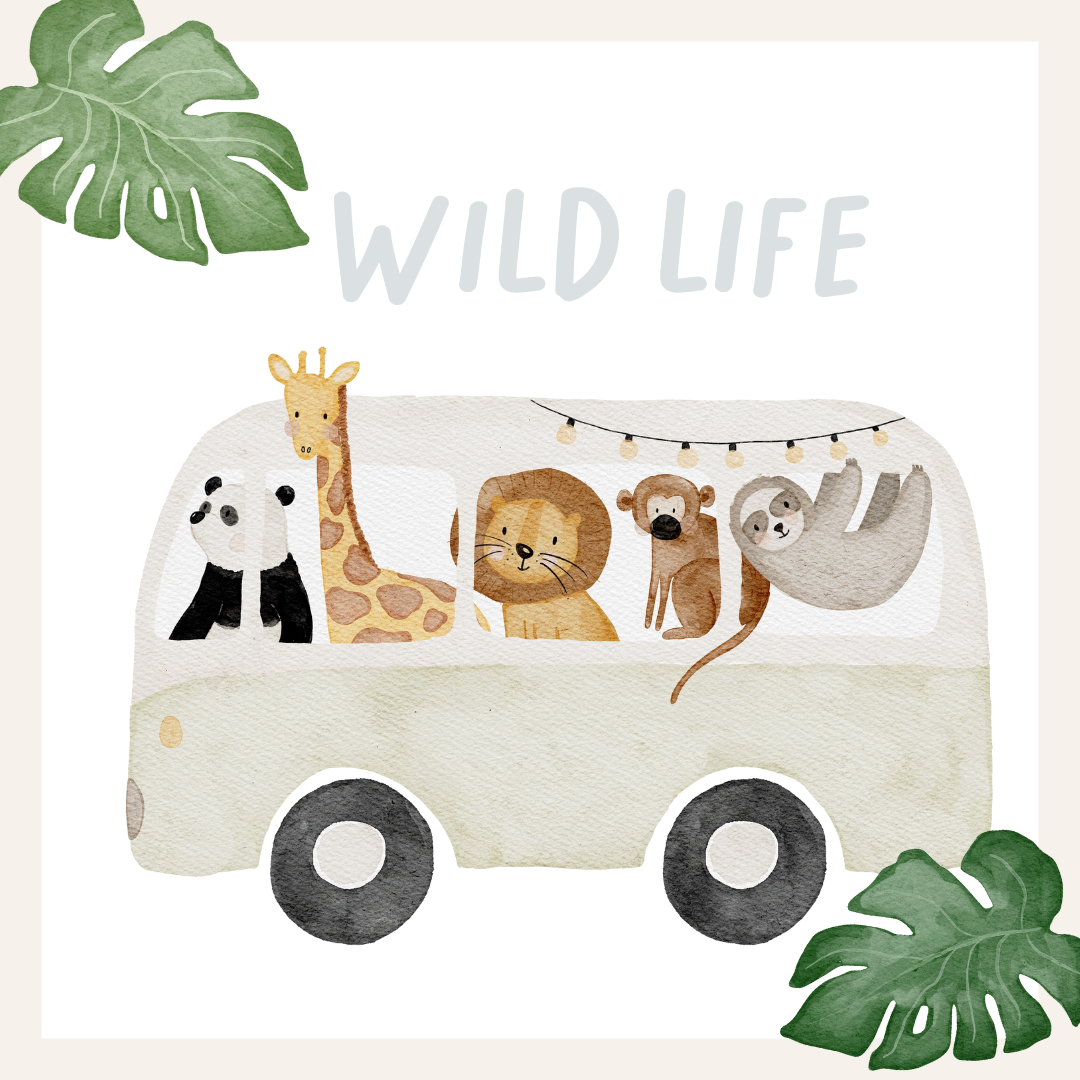 Hej Hanni Wundertüte