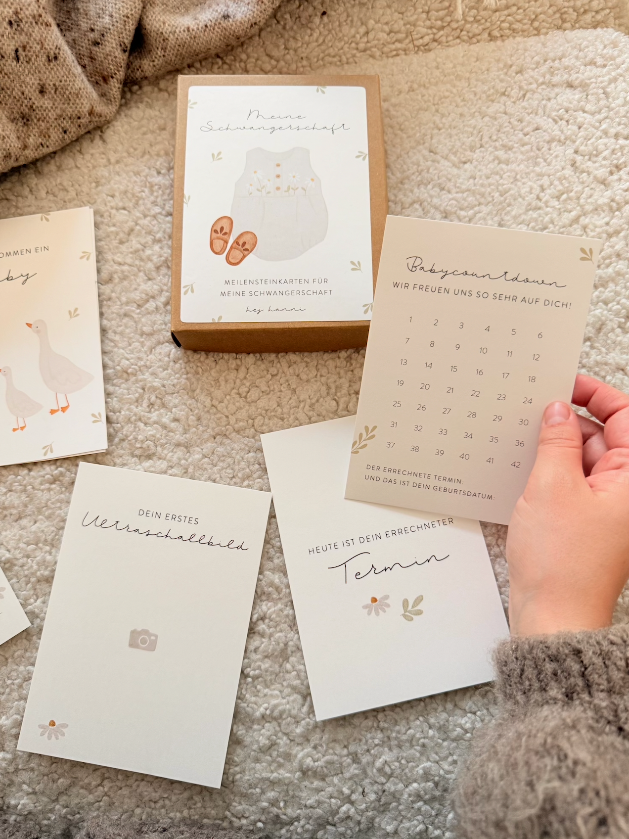 Hej Hanni Meilensteinkarten Schwangerschaft