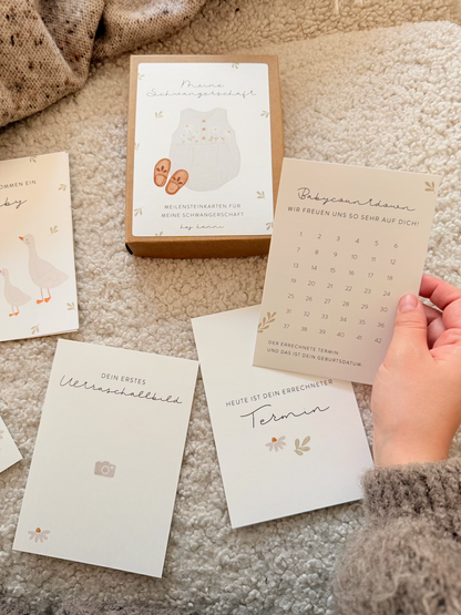 Hej Hanni Meilensteinkarten Schwangerschaft