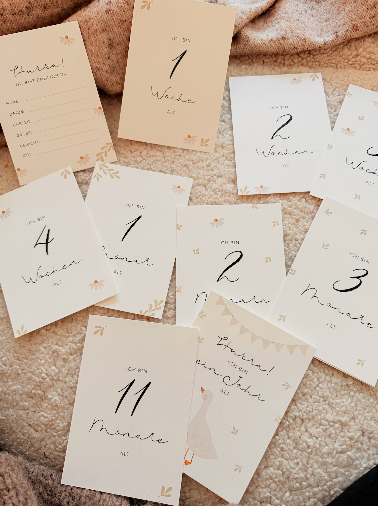 Hej Hanni Meilensteinkarten Baby