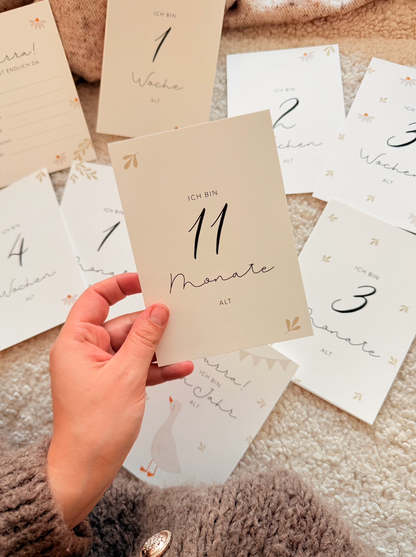 Hej Hanni Meilensteinkarten Baby