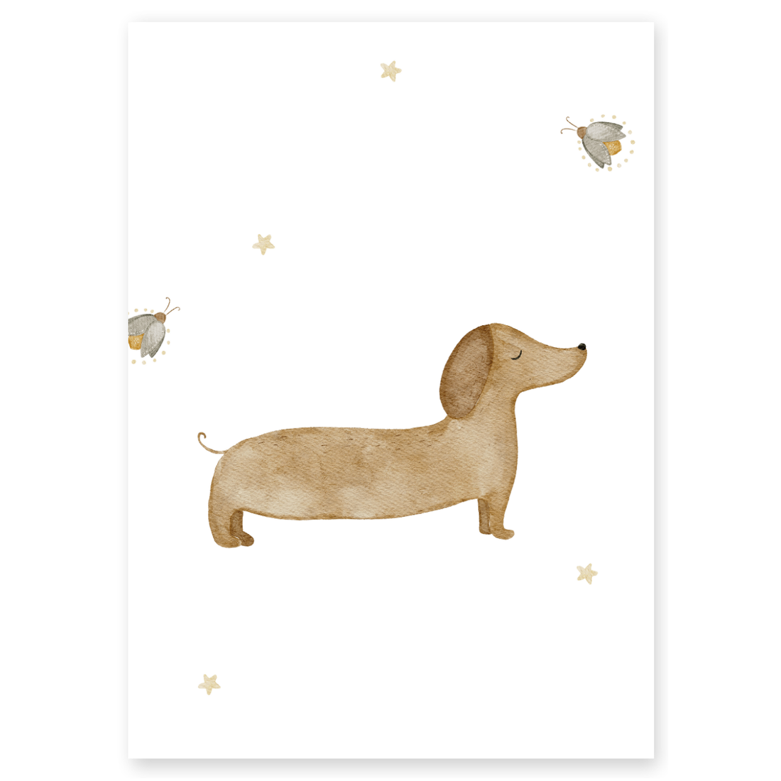 Kinderposter Dackel Glühwürmchen