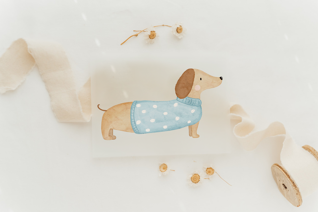 Hej Hanni Bügelbild Dackel Pulli blau