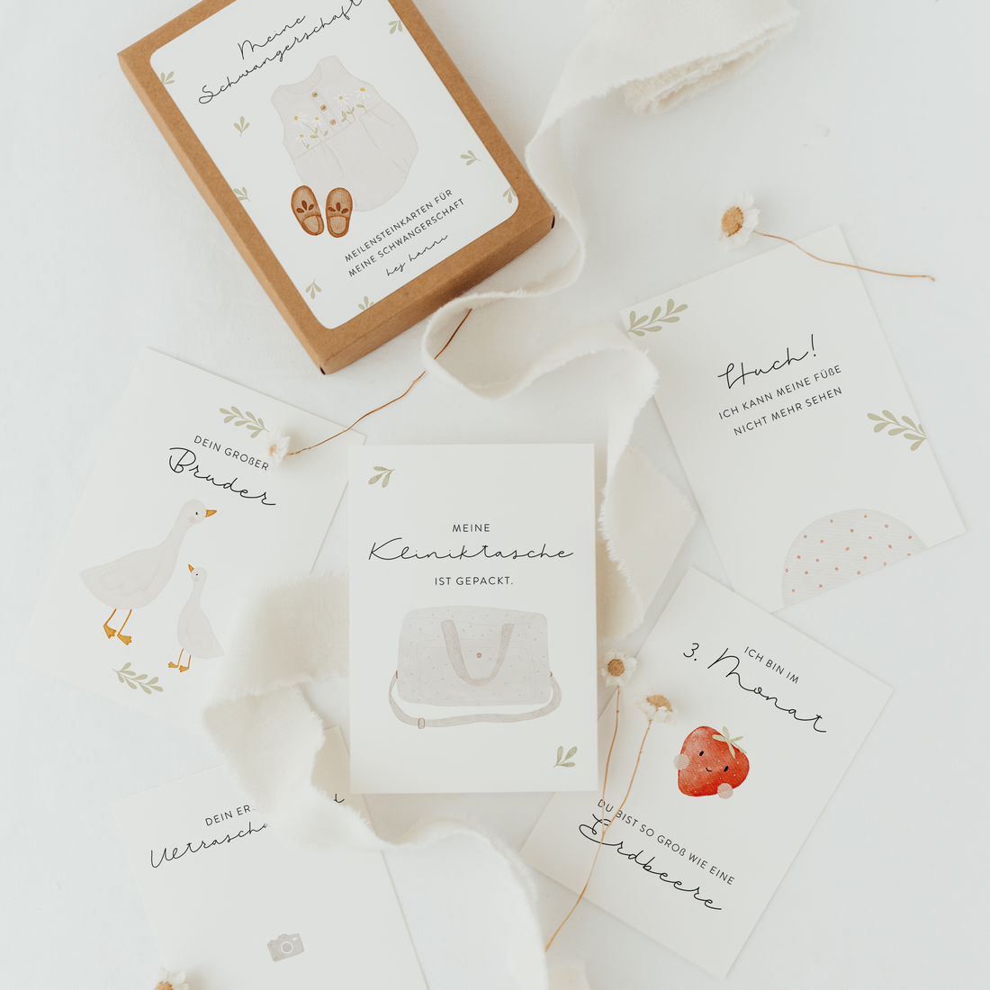 Hej Hanni Meilensteinkarten Schwangerschaft