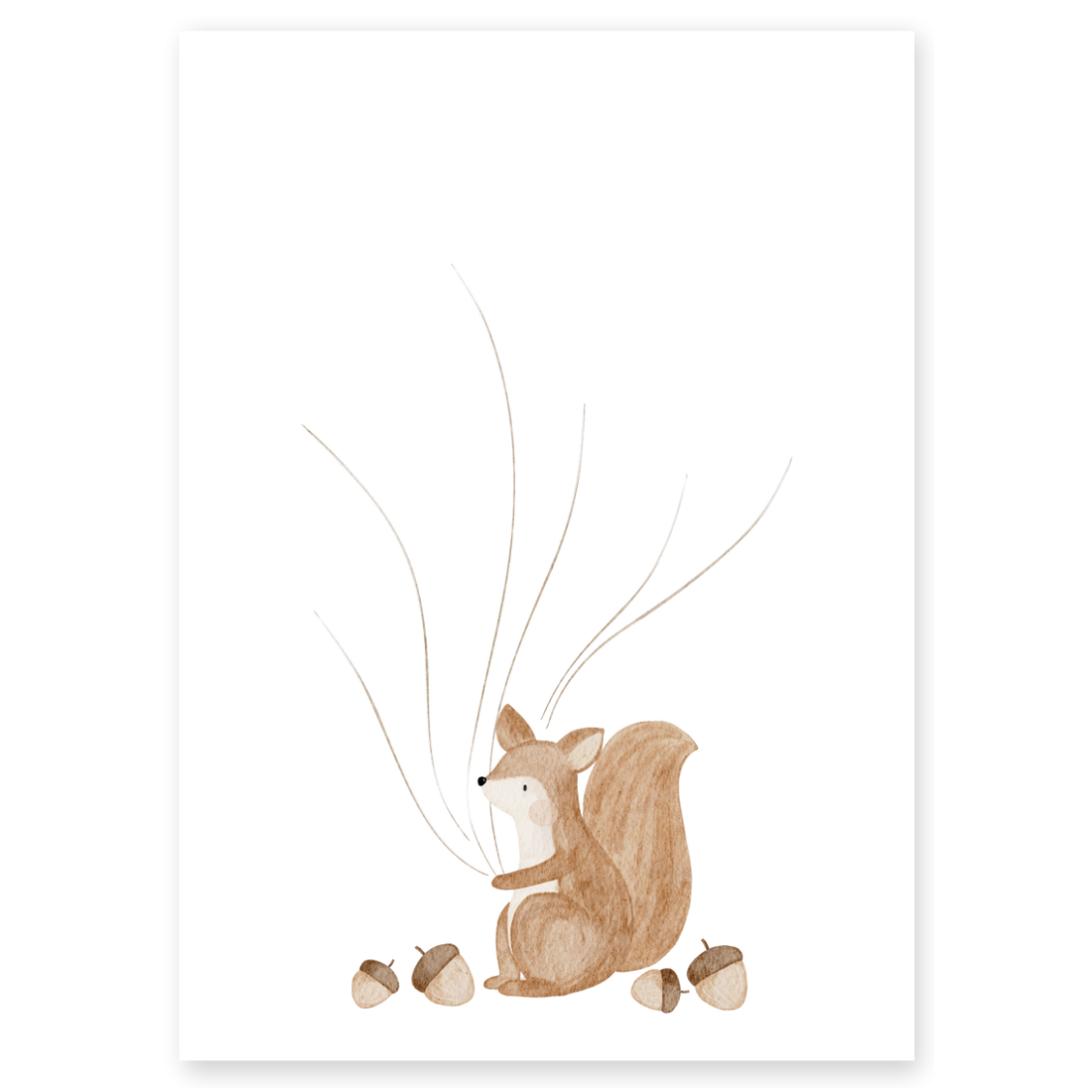 Gästeposter Eichhörnchen