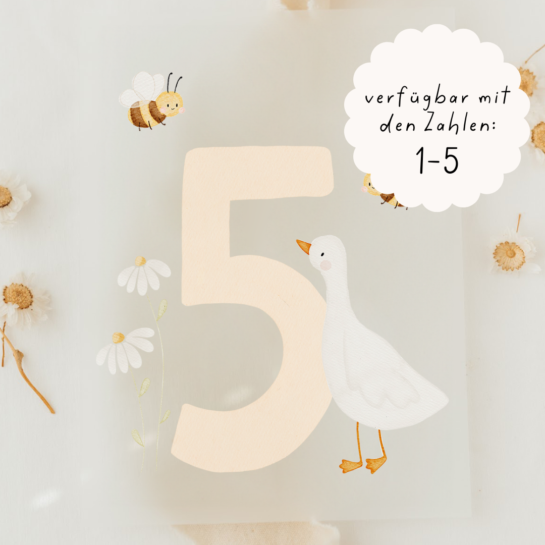 Hej Hanni Bügelbild Geburtstag Zahl Gans