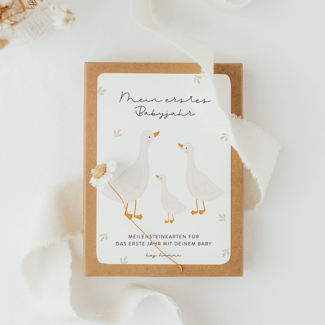 Hej Hanni Meilensteinkarten Baby