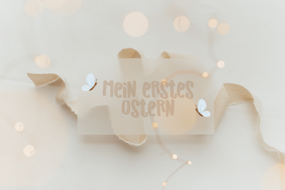 Hej Hanni Bügelbild Frühling Mein erstes Ostern