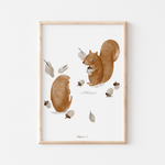 Poster Eichhörnchen A3 & A4