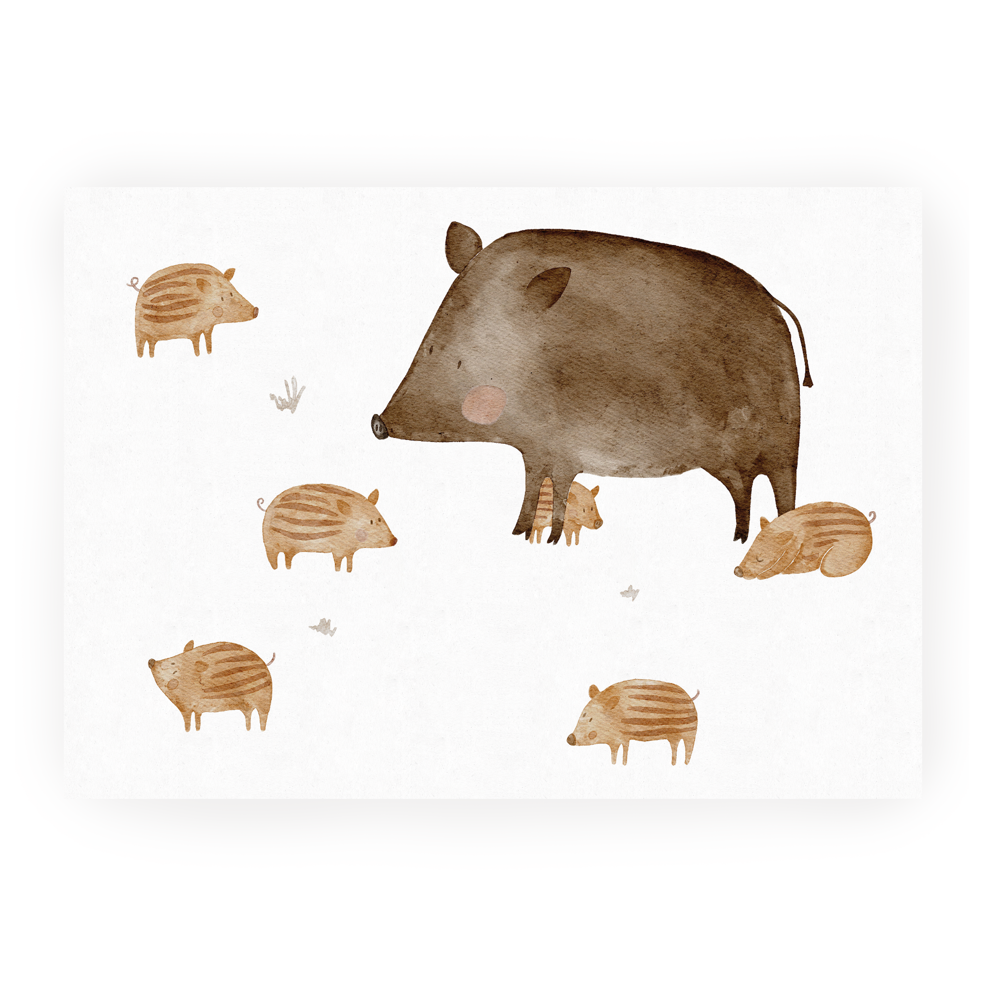 Postkarte Wildschweine