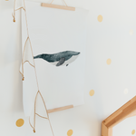 Poster Meerestiere A4 & A3 | Set oder Einzeln