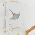 Poster Meerestiere A4 & A3 | Set oder Einzeln