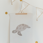 Poster Meerestiere A4 & A3 | Set oder Einzeln
