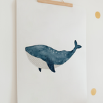 Poster Meerestiere A4 & A3 | Set oder Einzeln