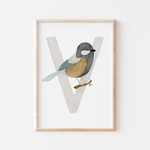 Buchstabenposter bunt V