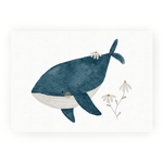 Postkarte Wal