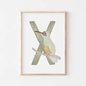 Buchstabenposter bunt X