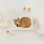 Postkarte Bär